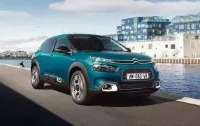 C4 CACTUS