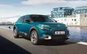 C4 CACTUS