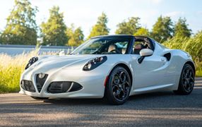 4C Spider